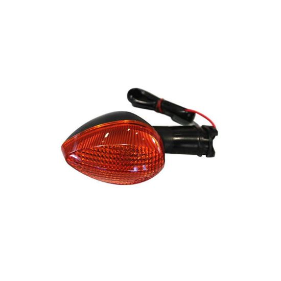Picture of DOT Turn Signal