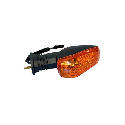 Picture of DOT Turn Signal